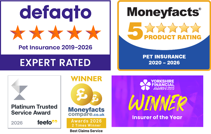 A collection of images showing the awards that The Insurance Emporium has won