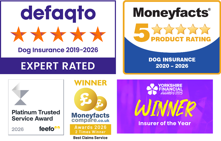 A collection of images showing the awards that The Insurance Emporium has won
